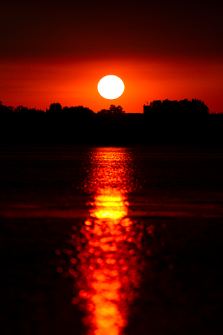 Illustration for article titled 166 Sunrises and Sunsets